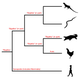 Illustration for article titled An example of biological nomenclatural confusion